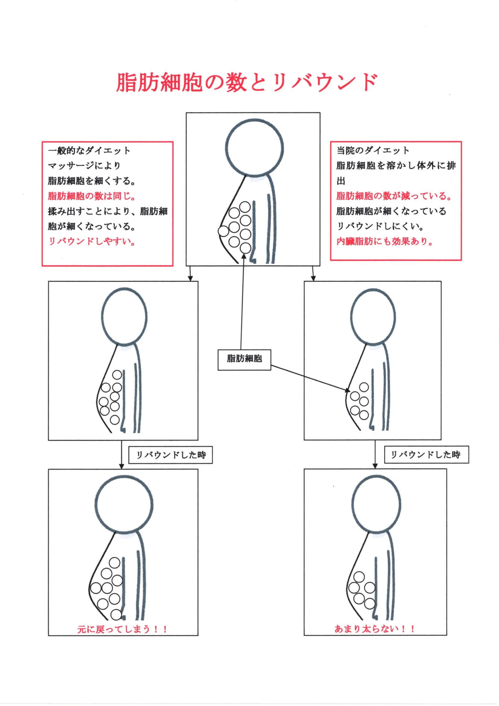 ダイエットの決め手