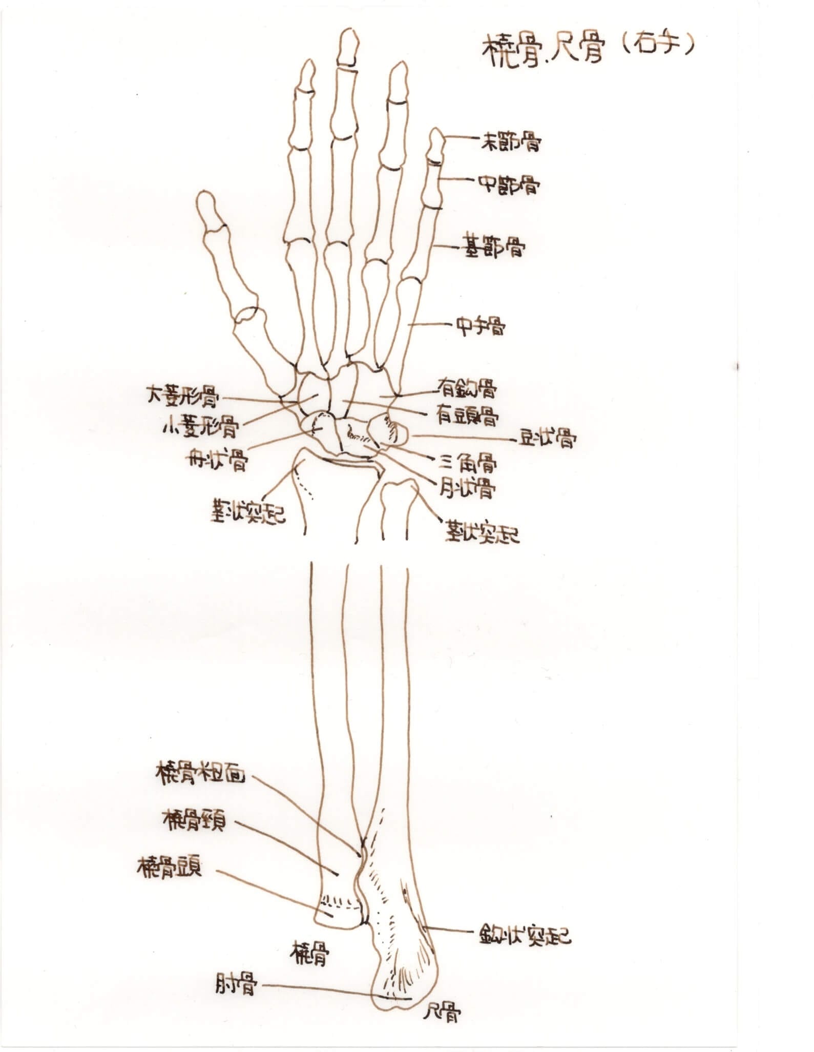 肘、肩などの関節痛