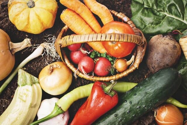 ダイエットの基本原則(食事3)