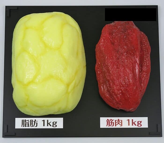 ダイエットをしても痩せられないのはなぜ