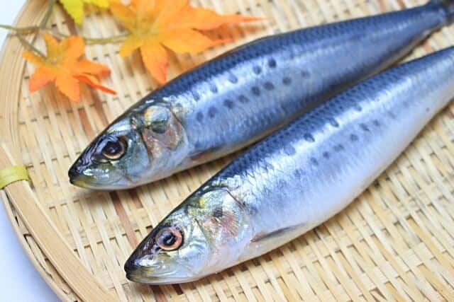 アラフィフからの女性の食事